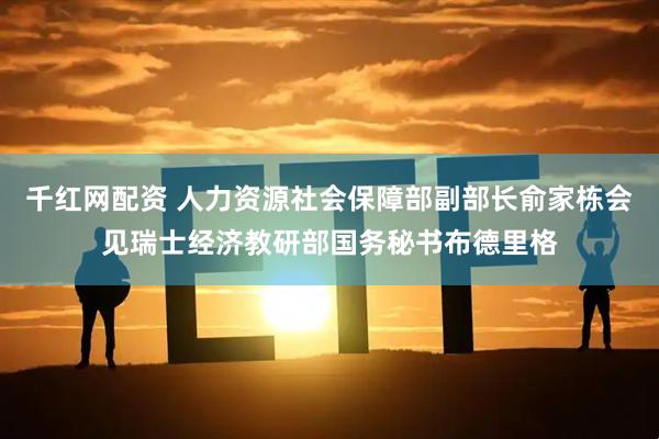 千红网配资 人力资源社会保障部副部长俞家栋会见瑞士经济教研部国务秘书布德里格