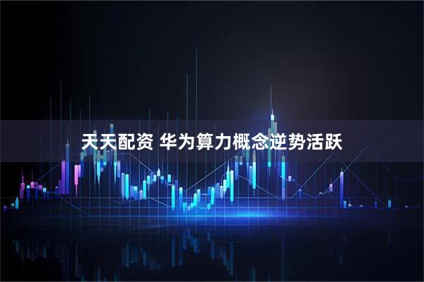 天天配资 华为算力概念逆势活跃