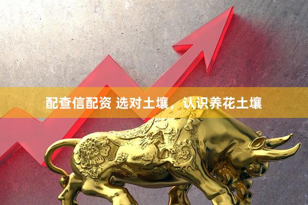 配查信配资 选对土壤，认识养花土壤