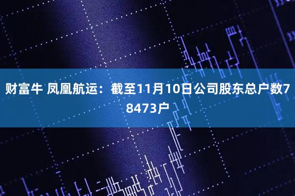 财富牛 凤凰航运：截至11月10日公司股东总户数78473户